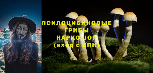 хмурый Балахна