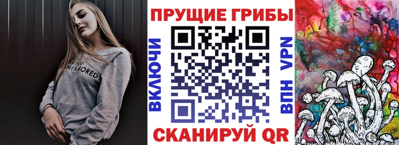 Галлюциногенные грибы мухоморы кракен Ясный где купить